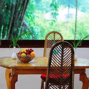 **** Hotel Marg Stream Valley India